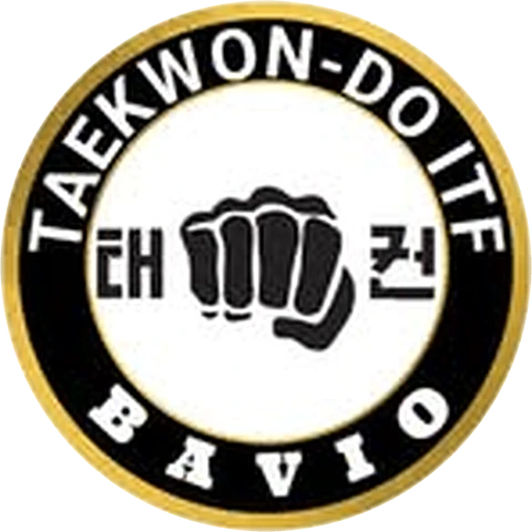 Taekwon-Do Bavio en Instagram